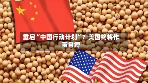 重启“中国行动计划	”？美国终将作茧自缚-第3张图片