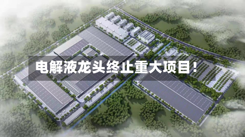 电解液龙头终止重大项目!