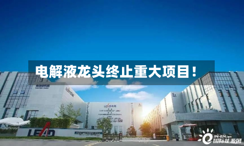 电解液龙头终止重大项目!-第2张图片