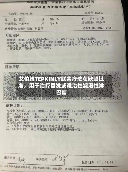 艾伯维TEPKINLY联合疗法获欧盟批准，用于治疗复发或难治性滤泡性淋巴瘤-第2张图片