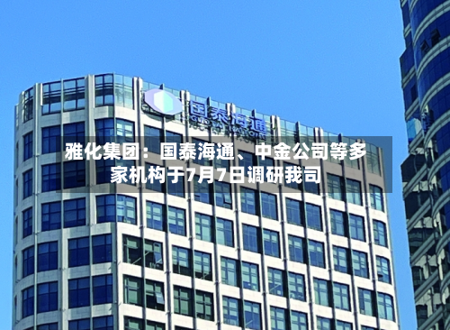 雅化集团：国泰海通、中金公司等多家机构于7月7日调研我司-第3张图片