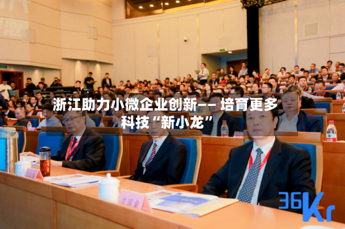 浙江助力小微企业创新—— 培育更多科技“新小龙”-第3张图片