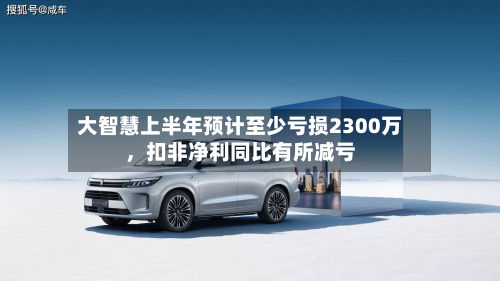 大智慧上半年预计至少亏损2300万,扣非净利同比有所减亏