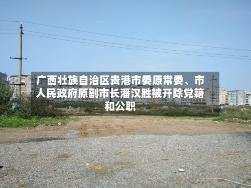 广西壮族自治区贵港市委原常委、市人民政府原副市长潘汉胜被开除党籍和公职-第3张图片