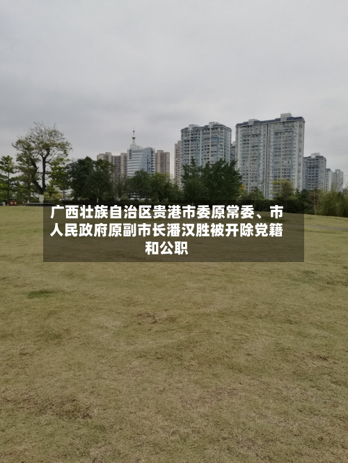 广西壮族自治区贵港市委原常委、市人民政府原副市长潘汉胜被开除党籍和公职-第2张图片
