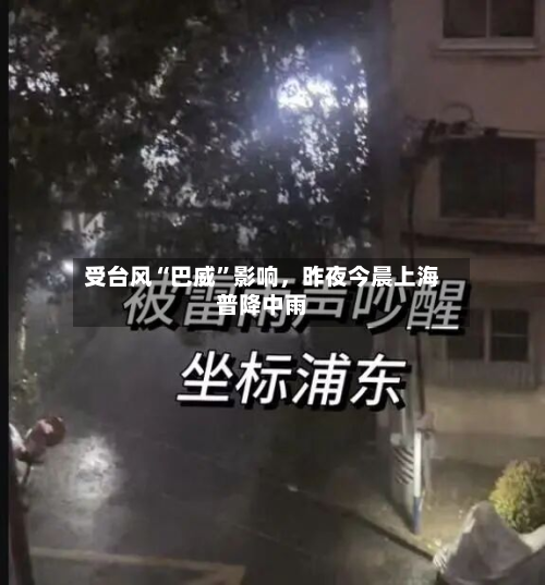 受台风“巴威	”影响，昨夜今晨上海普降中雨-第3张图片
