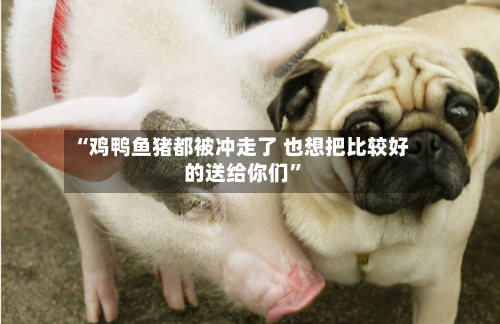 “鸡鸭鱼猪都被冲走了 也想把比较好的送给你们”-第3张图片