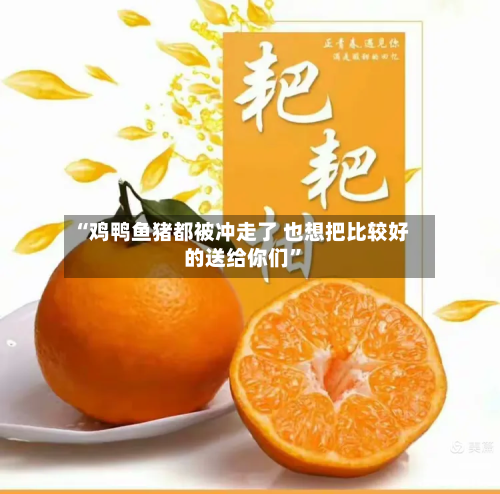 “鸡鸭鱼猪都被冲走了 也想把比较好的送给你们	”-第2张图片