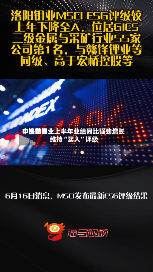 中银世界：洛阳钼业上半年业绩同比强劲增长 维持“买入”评级-第3张图片