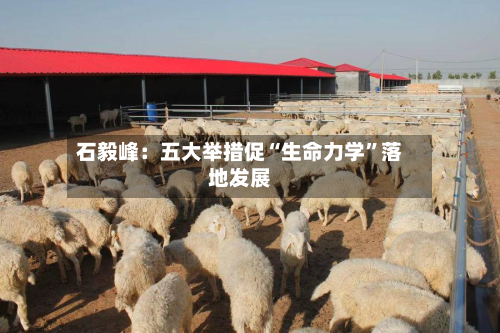 石毅峰：五大举措促“生命力学”落地发展-第2张图片