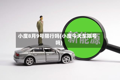 小度8月9号限行吗(小度今天车限号吗)