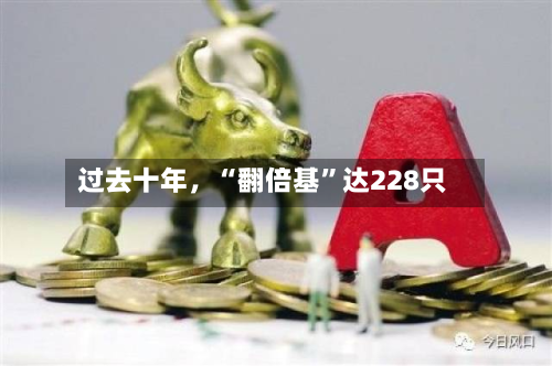 过去十年，“翻倍基”达228只-第2张图片