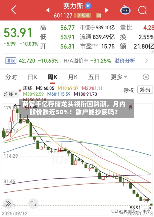 两家千亿存储龙头领衔回购潮	，月内股价跌近50%！散户能抄底吗？-第2张图片