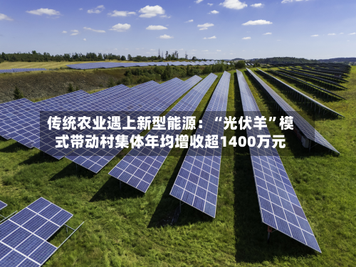 传统农业遇上新型能源：“光伏羊”模式带动村集体年均增收超1400万元-第2张图片