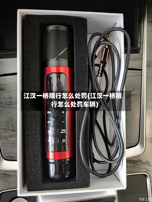 江汉一桥限行怎么处罚(江汉一桥限行怎么处罚车辆)-第2张图片
