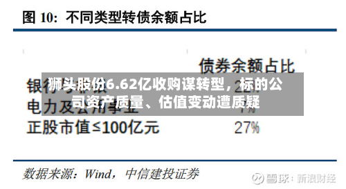 狮头股份6.62亿收购谋转型	，标的公司资产质量、估值变动遭质疑-第3张图片