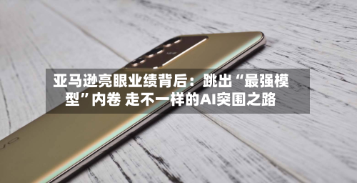 亚马逊亮眼业绩背后：跳出“最强模型	”内卷 走不一样的AI突围之路-第2张图片