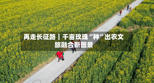 再走长征路｜千亩玫瑰“种”出农文旅融合新图景-第2张图片