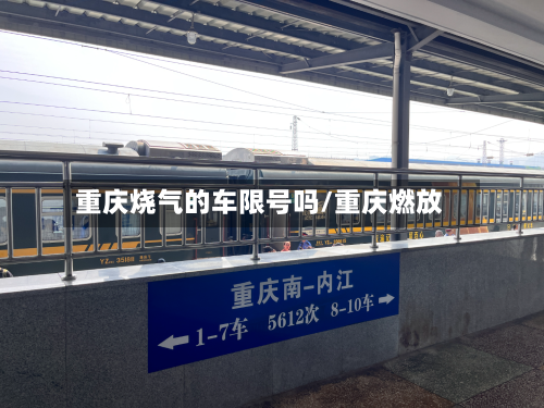 重庆烧气的车限号吗/重庆燃放-第3张图片