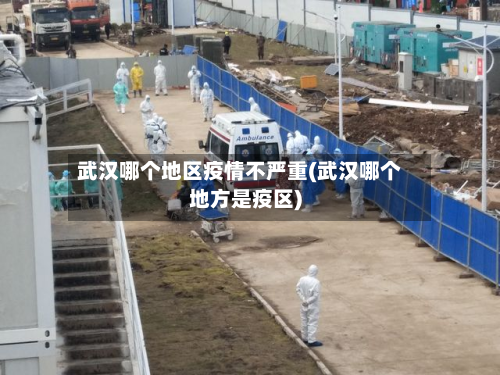 武汉哪个地区疫情不严重(武汉哪个地方是疫区)-第3张图片