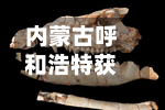 内蒙古呼和浩特获授“世界乳都”称号