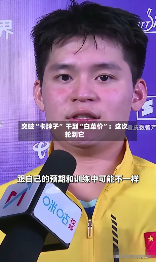 突破“卡脖子” 干到“白菜价”：这次轮到它-第2张图片