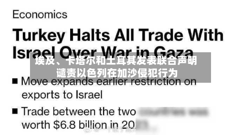 埃及	、卡塔尔和土耳其发表联合声明 谴责以色列在加沙侵犯行为-第2张图片
