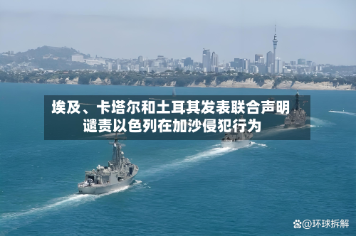 埃及、卡塔尔和土耳其发表联合声明 谴责以色列在加沙侵犯行为-第3张图片