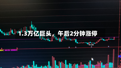1.3万亿巨头，午后2分钟涨停-第3张图片