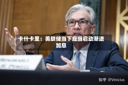 卡什卡里：美联储当下应当启动渐进加息-第2张图片