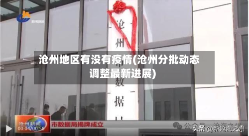 沧州地区有没有疫情(沧州分批动态调整最新进展)-第2张图片