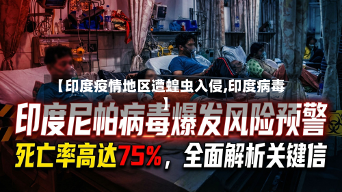 【印度疫情地区遭蝗虫入侵,印度病毒】