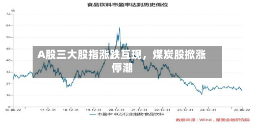 A股三大股指涨跌互现	，煤炭股掀涨停潮-第2张图片
