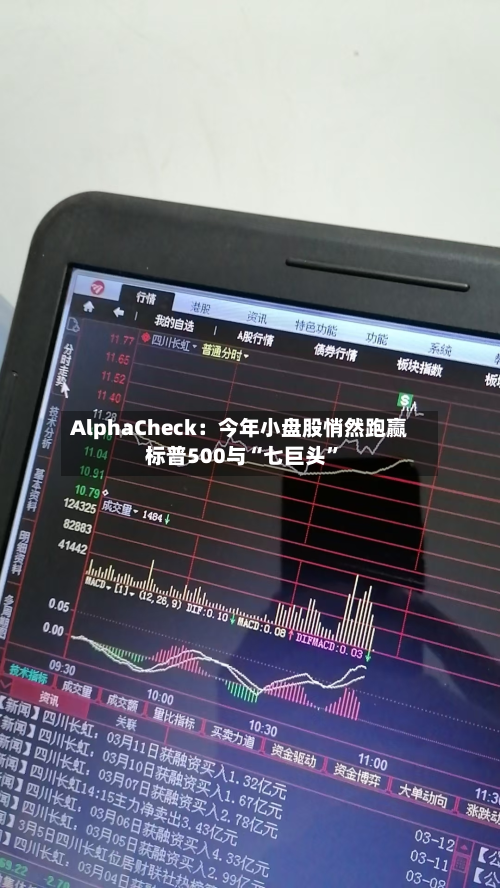 AlphaCheck：今年小盘股悄然跑赢标普500与“七巨头”-第2张图片