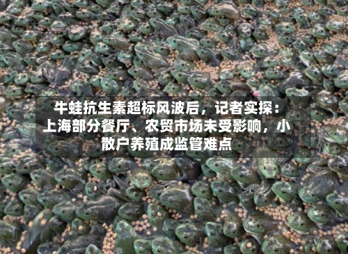 牛蛙抗生素超标风波后，记者实探：上海部分餐厅、农贸市场未受影响	，小散户养殖成监管难点-第3张图片