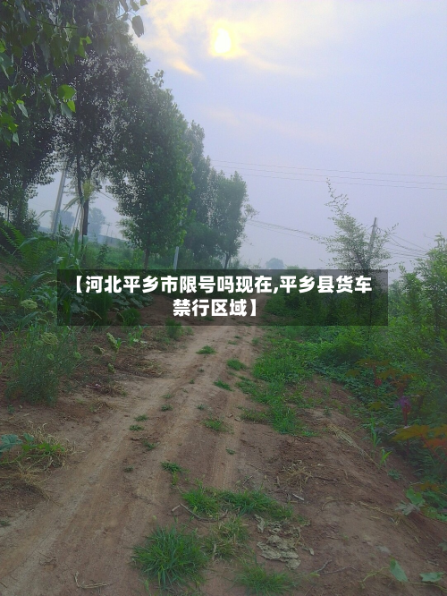【河北平乡市限号吗现在,平乡县货车禁行区域】-第2张图片