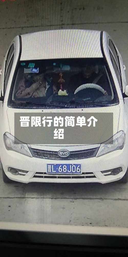 晋限行的简单介绍-第3张图片