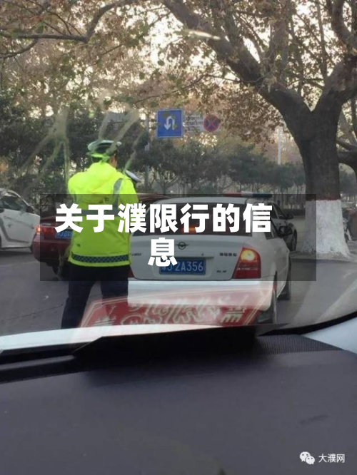 关于濮限行的信息