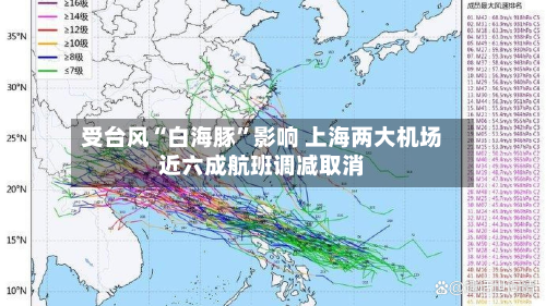 受台风“白海豚”影响 上海两大机场近六成航班调减取消-第2张图片
