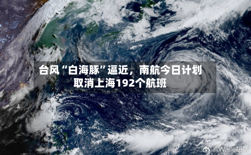 台风“白海豚”逼近	，南航今日计划取消上海192个航班-第1张图片