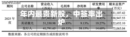 年内最贵新股，中签率出炉-第3张图片