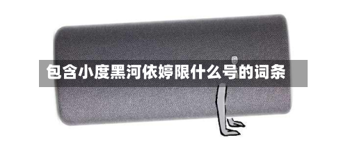 包含小度黑河依婷限什么号的词条