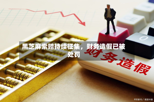 黑芝麻索赔持续征集	，财务造假已被处罚-第3张图片