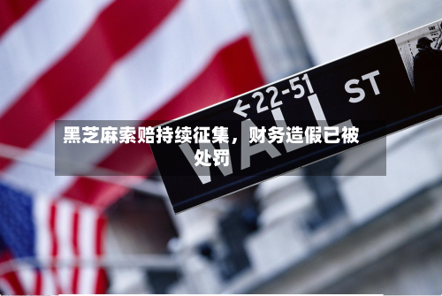 黑芝麻索赔持续征集，财务造假已被处罚-第2张图片