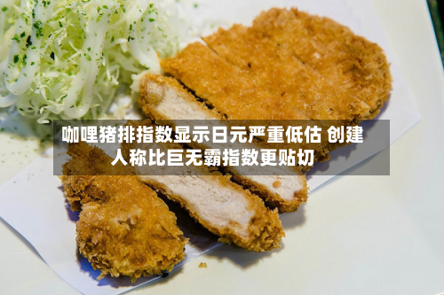 咖哩猪排指数显示日元严重低估 创建人称比巨无霸指数更贴切-第3张图片