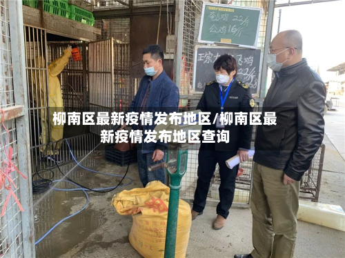 柳南区最新疫情发布地区/柳南区最新疫情发布地区查询-第3张图片