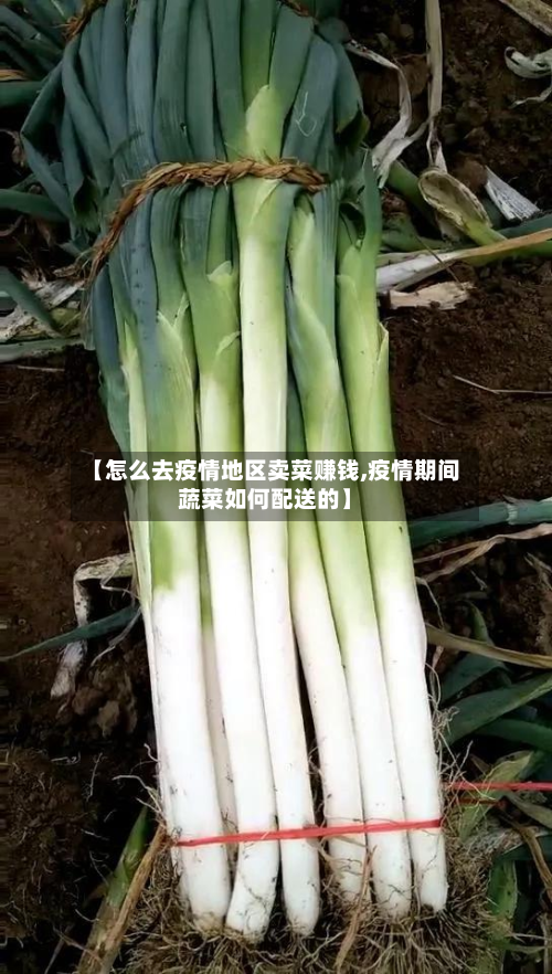 【怎么去疫情地区卖菜赚钱,疫情期间蔬菜如何配送的】