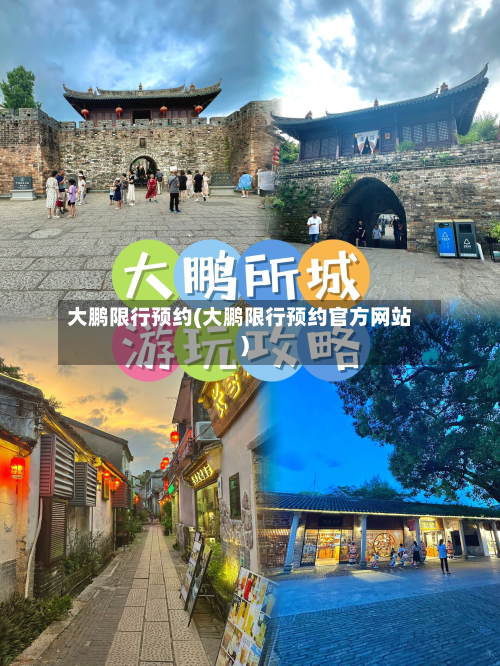 大鹏限行预约(大鹏限行预约官方网站)-第3张图片