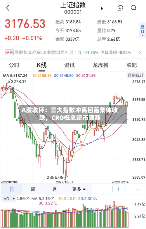 A股收评：三大指数冲高回落集体收跌	，CRO概念逆市领涨-第3张图片