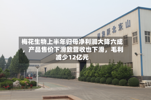 梅花生物上半年归母净利润大降六成	，产品售价下滑致营收也下滑，毛利减少12亿元-第2张图片